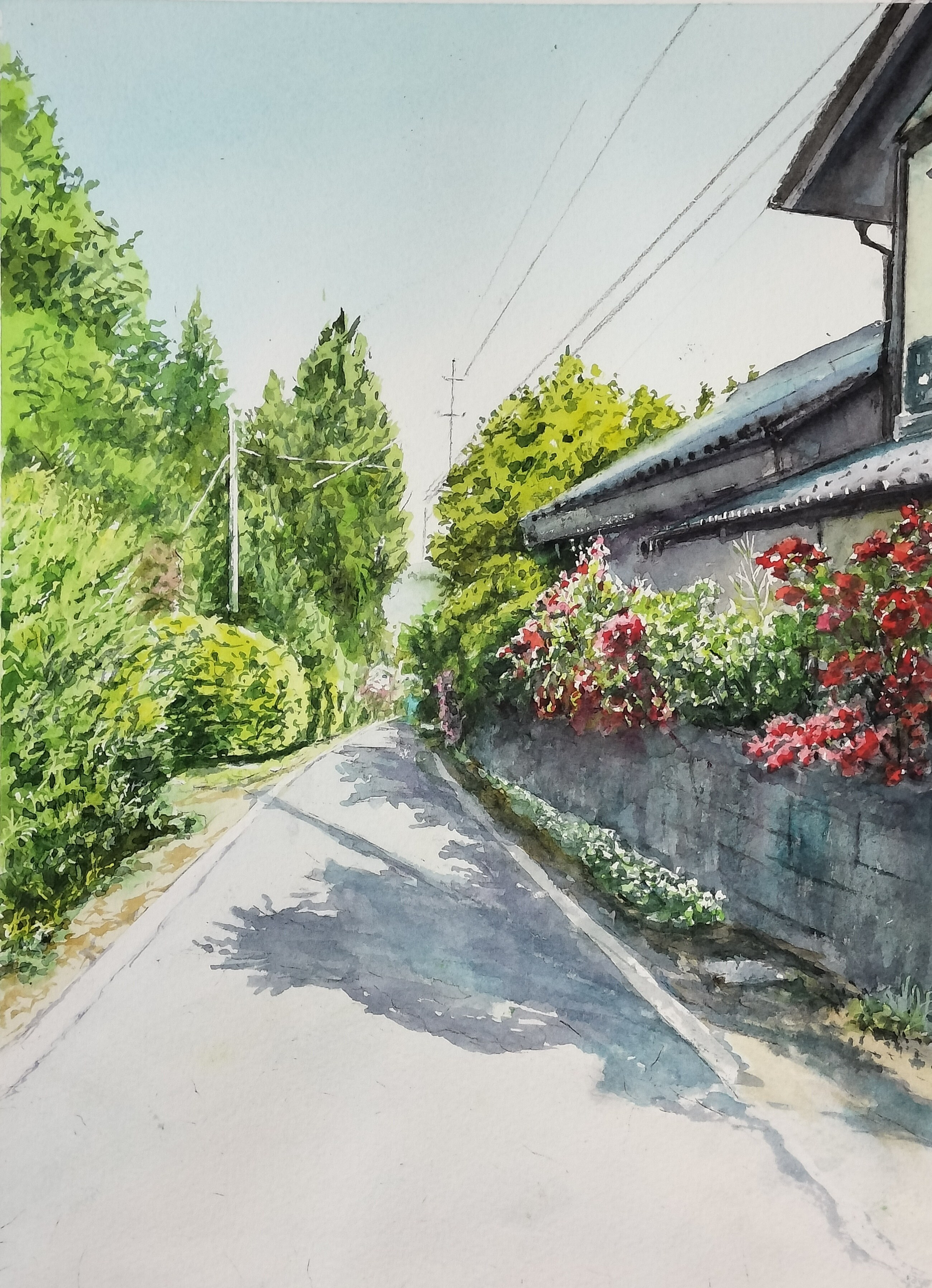 ツツジ咲く道