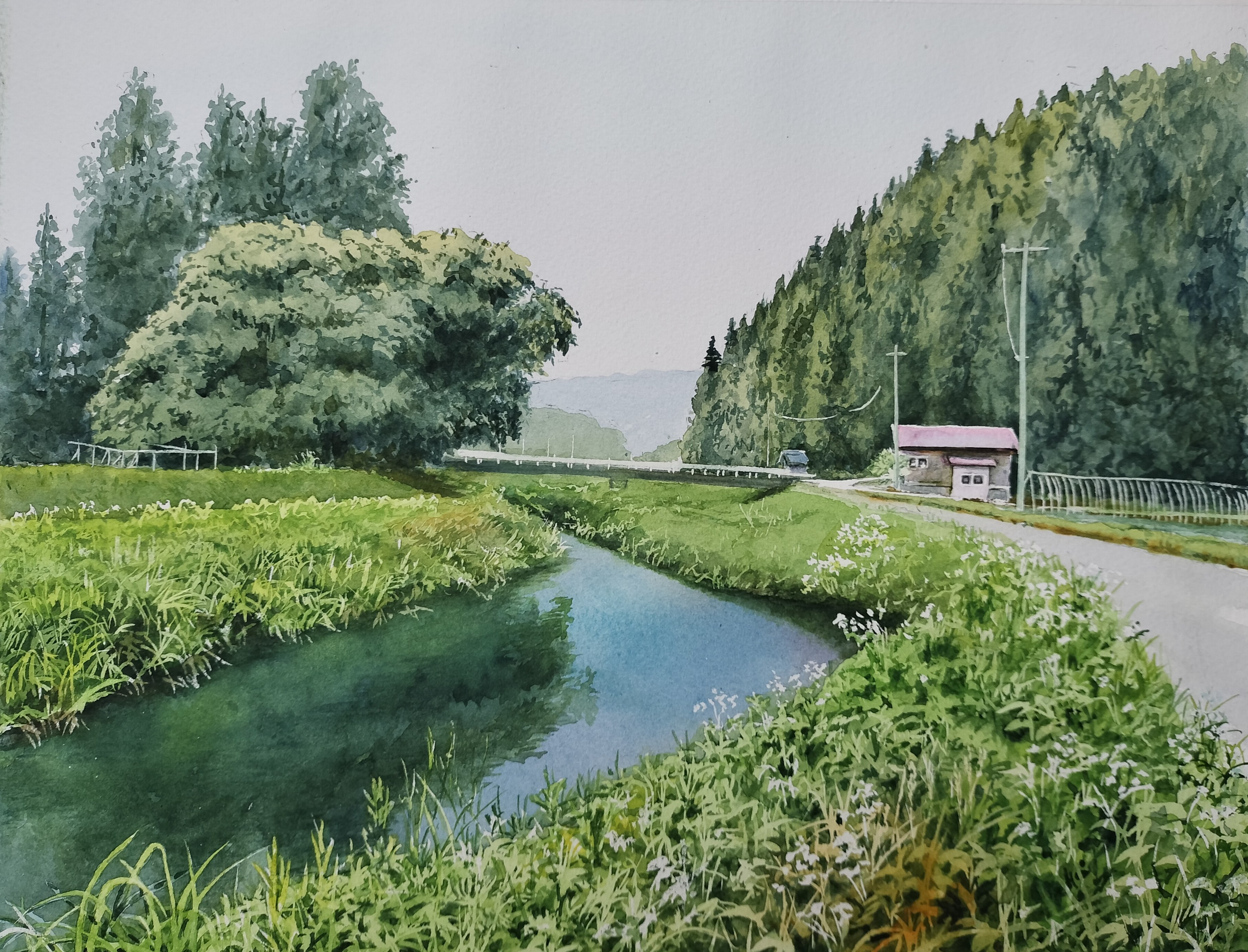 湖へ続く景色