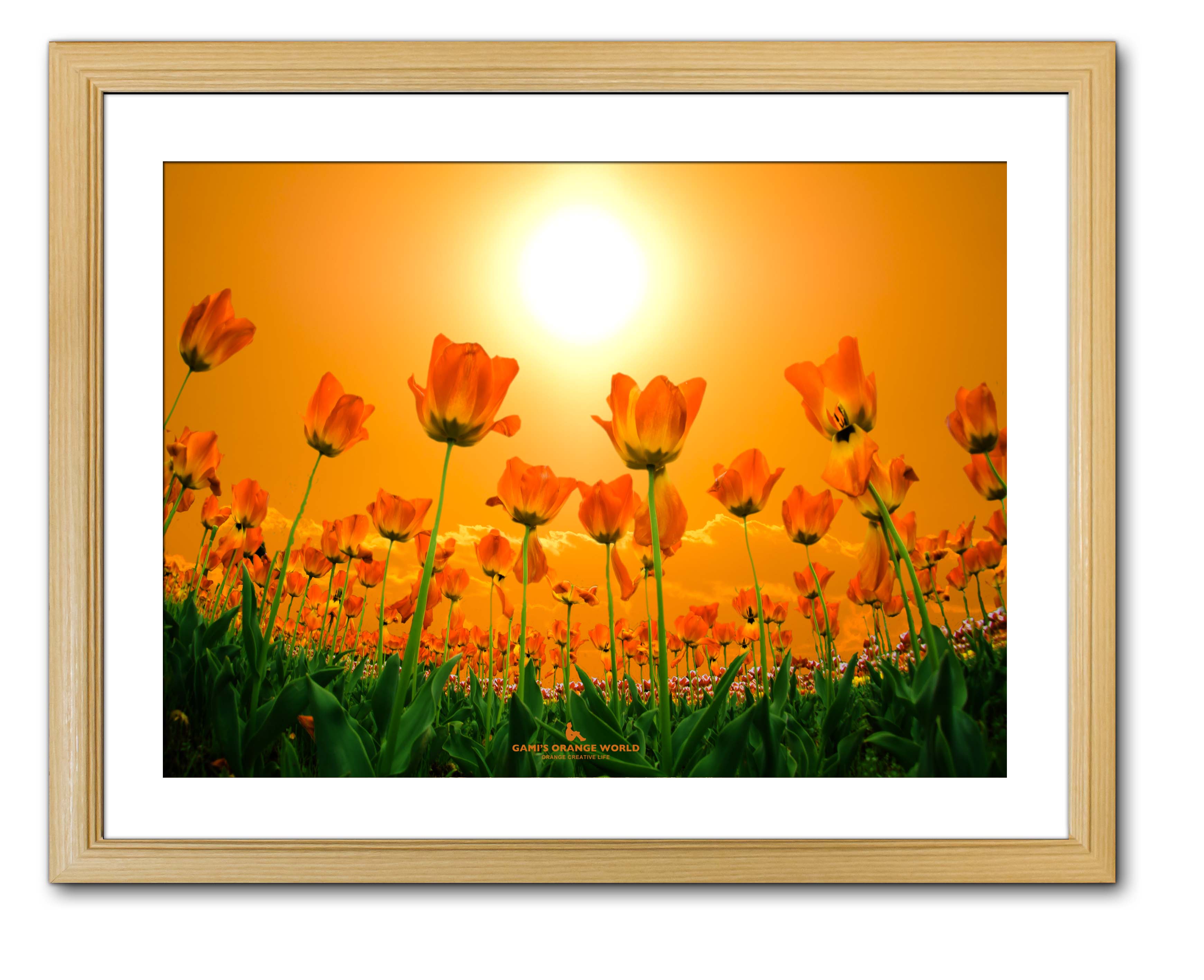 【額付アート写真/A3ノビ】ORANGE TULIP FIELD（オレンジチューリップ畑）