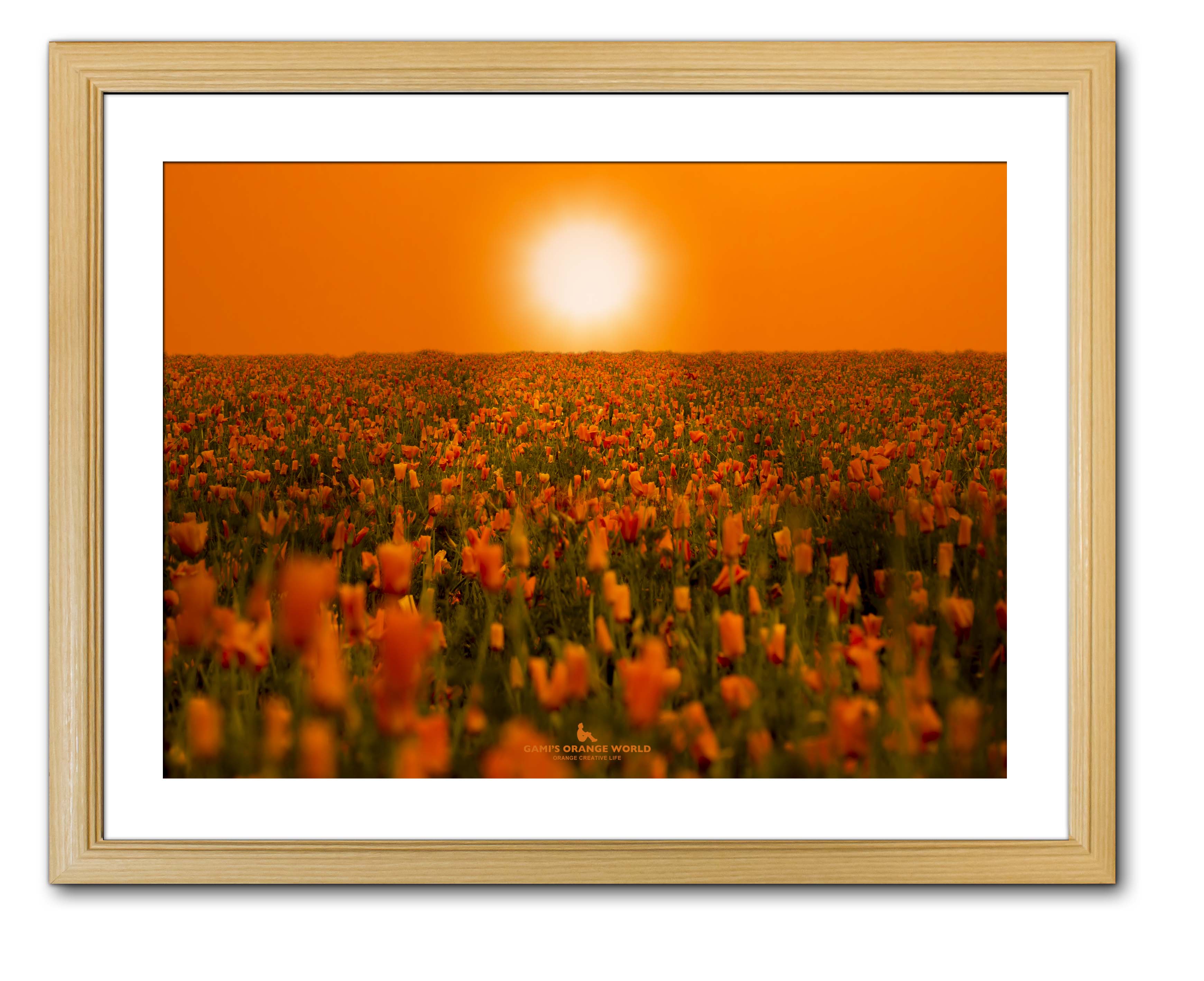 【額付アート写真/A3ノビ】ORANGE SUN LIGHTING THE POPPY FIELD（ポピー畑を照らすオレンジの太陽）